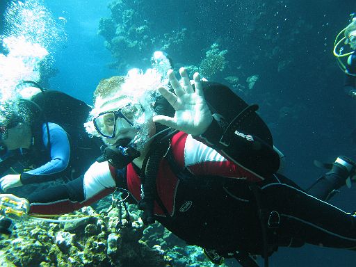 EGIPT, safari (listopad)