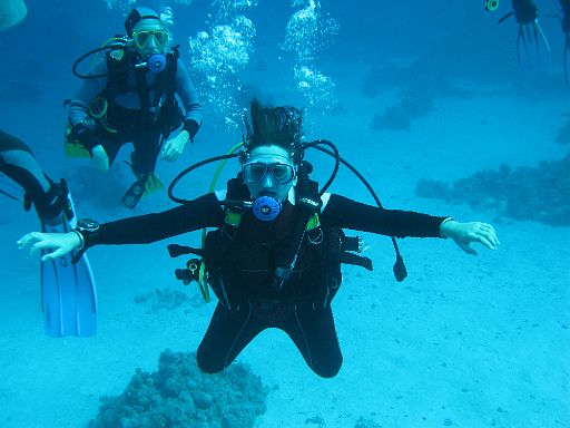 EGIPT, safari (listopad)