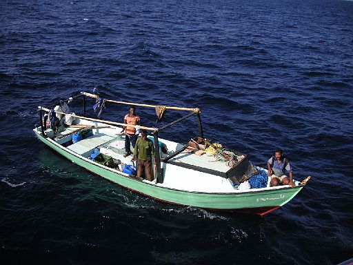 EGIPT, safari (listopad)