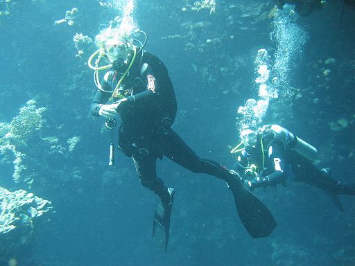 EGIPT, safari (listopad)