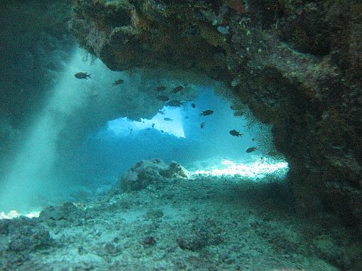 EGIPT, safari (listopad)