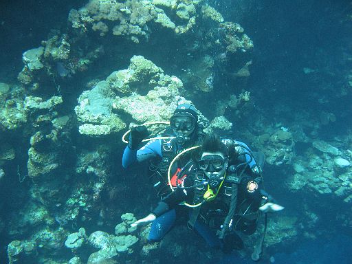 EGIPT, safari (listopad)