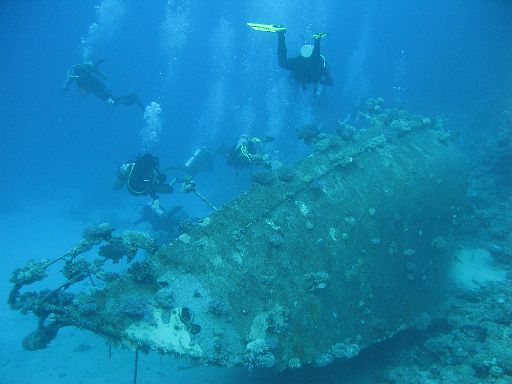 EGIPT, safari (listopad)