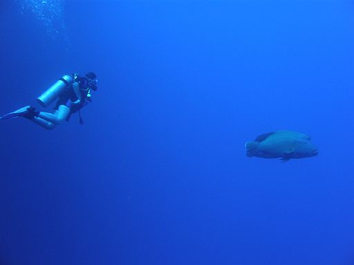 EGIPT, Sharm El-Sheikh (lipiec)