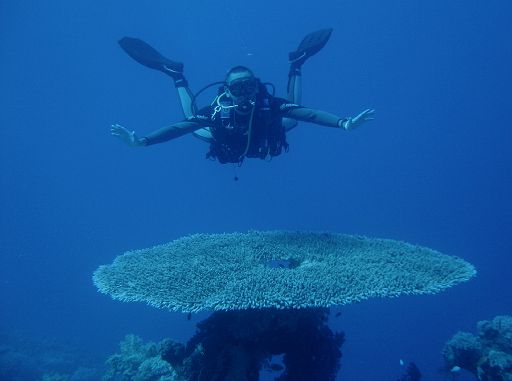 EGIPT, Sharm El-Sheikh (lipiec)