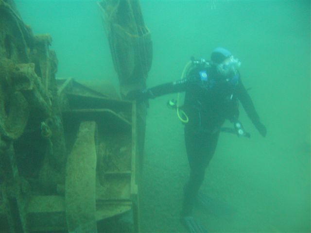 Koparki (17 października)