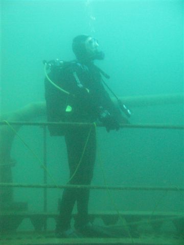 Koparki (17 października)