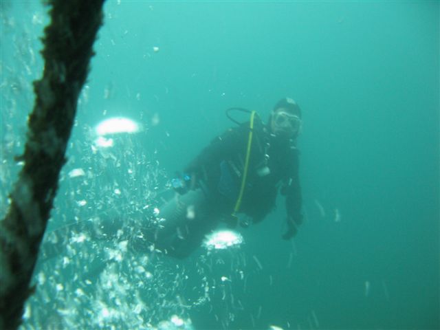 Koparki (17 października)