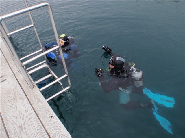 Koparki (17 października)