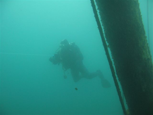 Koparki (17 października)