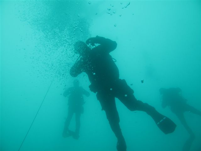 Koparki (17 października)