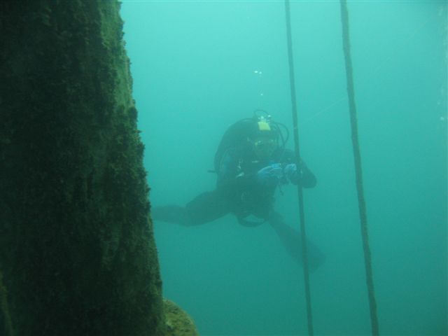 Koparki (17 października)