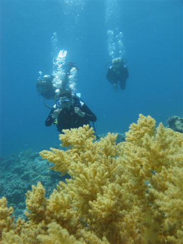 Wspomnienia z Dahab (lipiec)