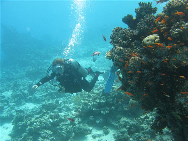 Wspomnienia z Dahab (lipiec)