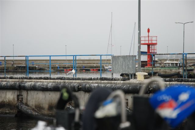 Nurkowania na wrakach Hel (maj)