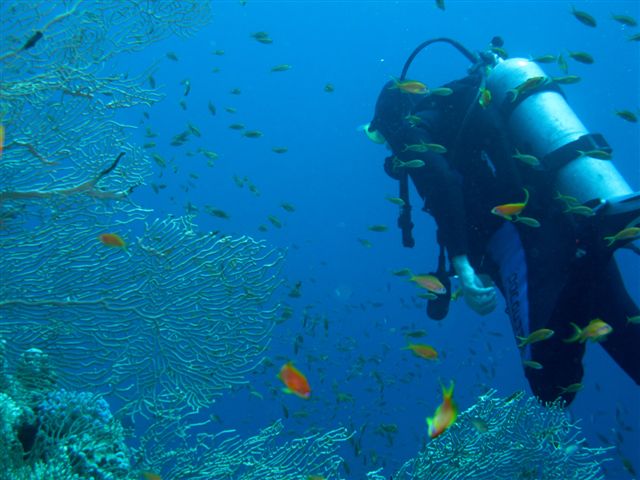 Dahab - dużo słońca w listopadzie