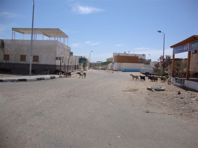 Egipt - Dahab (maj)