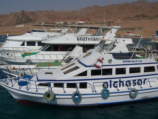 Egipt - Dahab (maj)