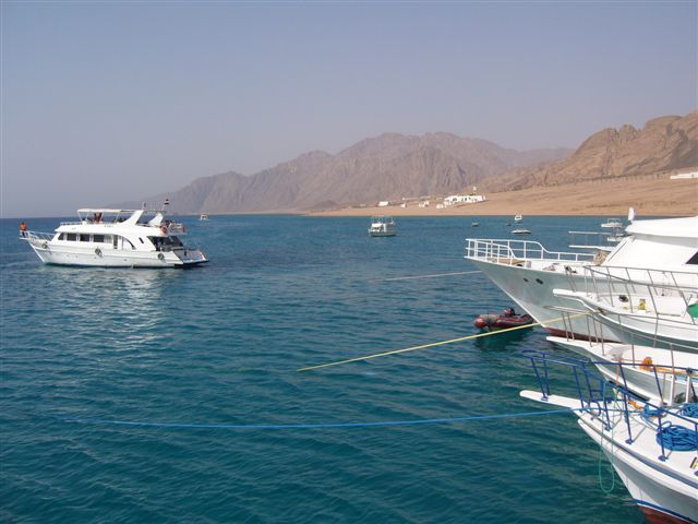 Egipt - Dahab (maj)