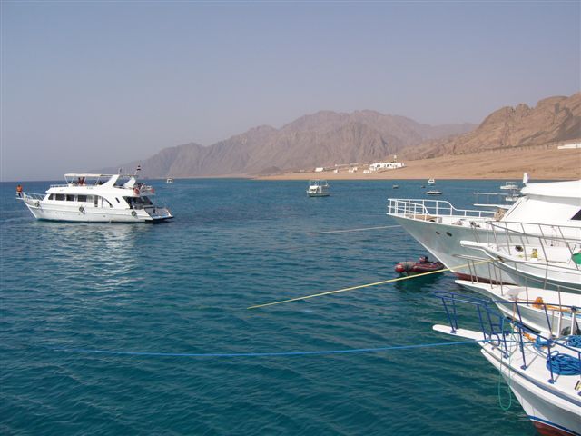 Egipt - Dahab (maj)