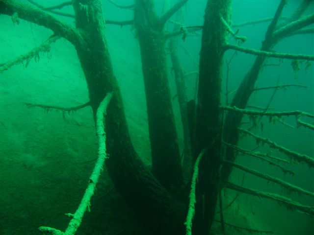 Kamieniołom Piechcin (listopad)