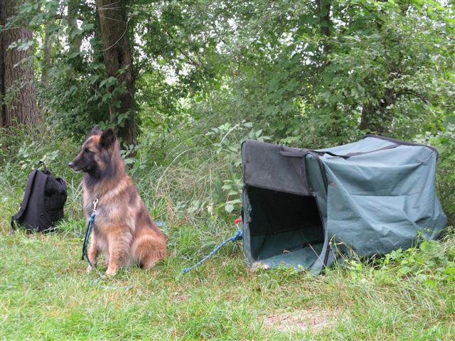 Powidz czyli wesele Wiesława