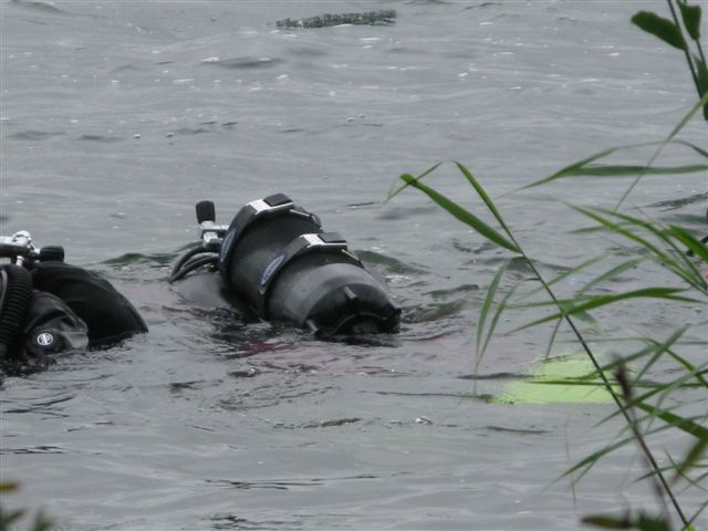 Powidz czyli wesele Wiesława