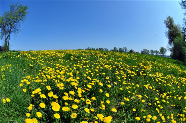 Trening nad Białym