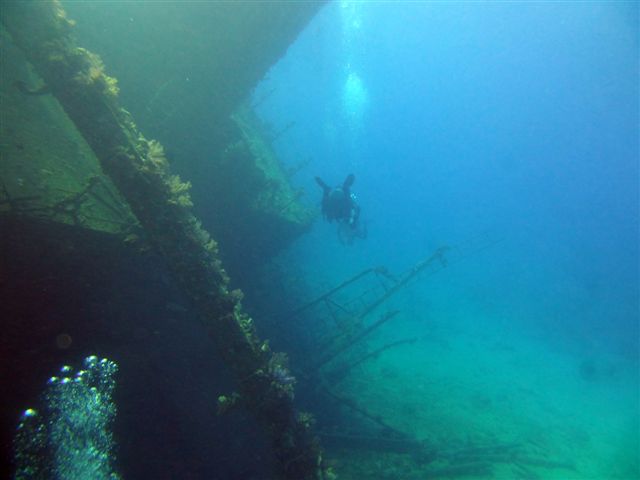 Safari w obiektywie Pawła - super foty