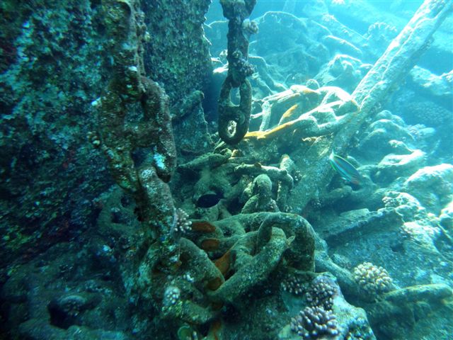 Safari w obiektywie Pawła - super foty