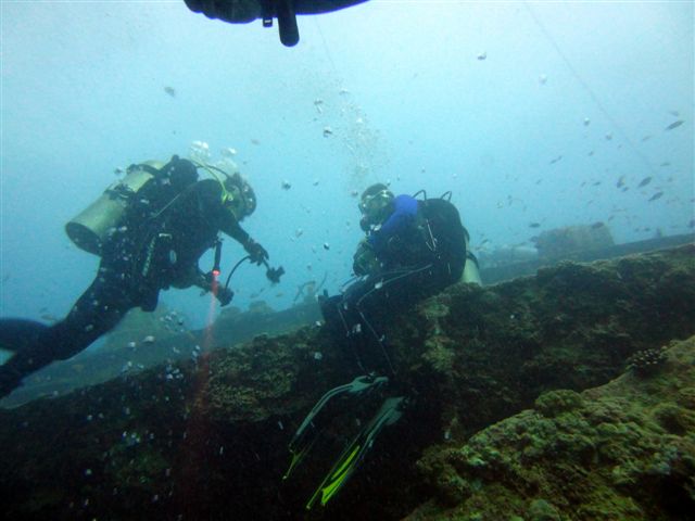 Safari w obiektywie Pawła - super foty