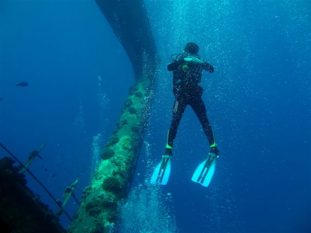 Safari w obiektywie Pawła - super foty