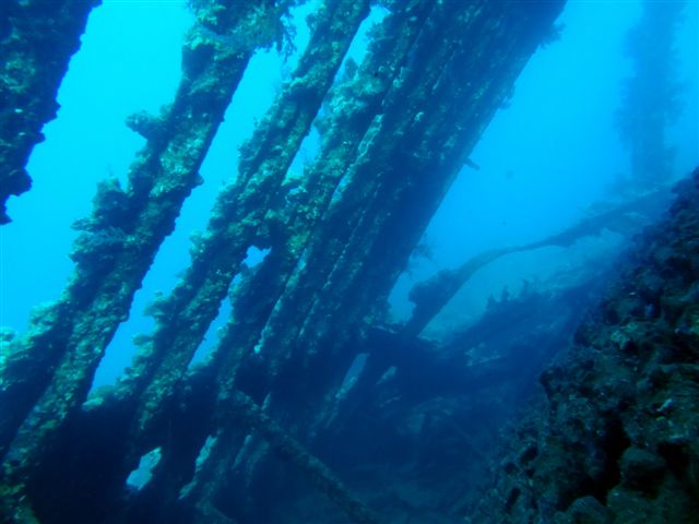 Safari w obiektywie Pawła - super foty