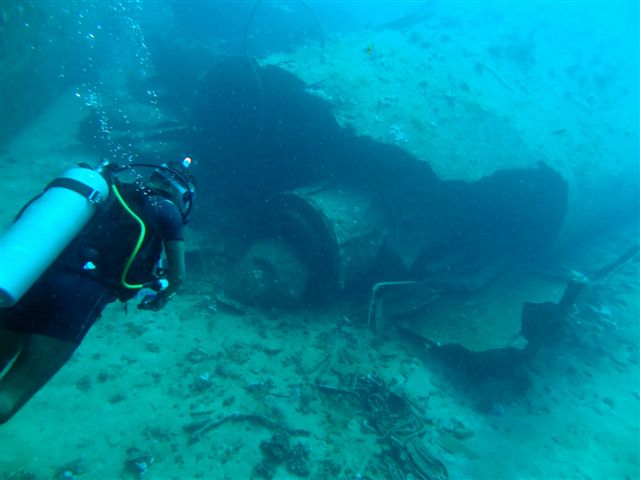 Safari w obiektywie Pawła - super foty