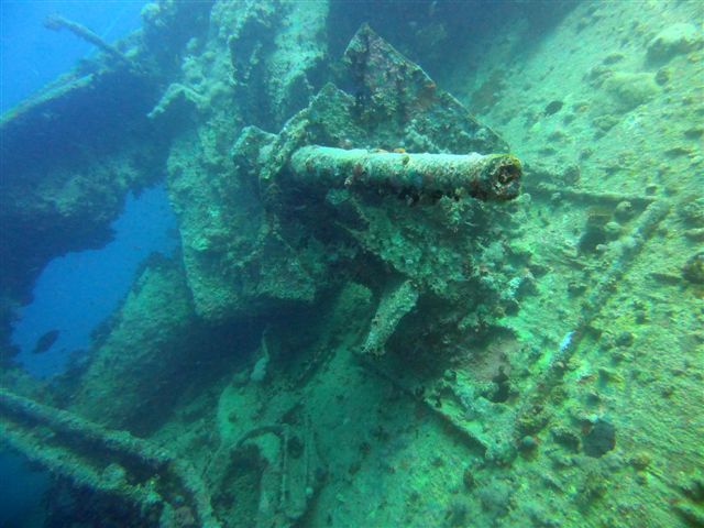 Safari w obiektywie Pawła - super foty