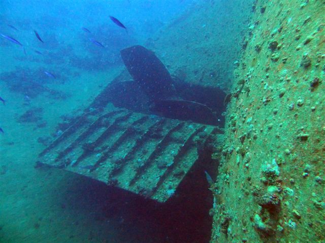 Safari w obiektywie Pawła - super foty