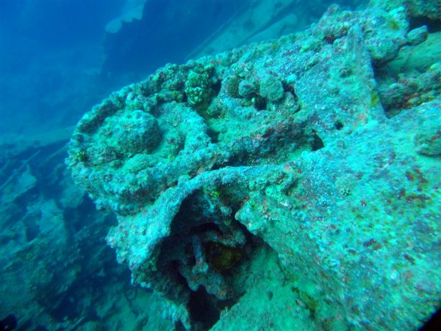 Safari w obiektywie Pawła - super foty