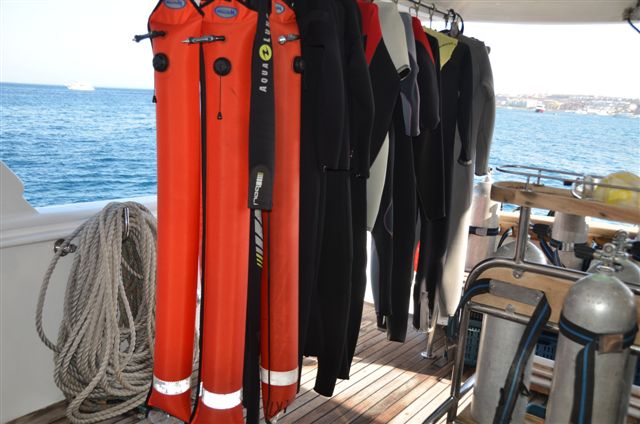 Safari w obiektywie Pawła - super foty