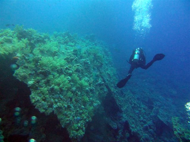 Safari w obiektywie Pawła - super foty