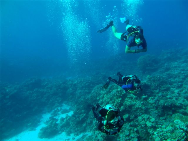 Safari w obiektywie Pawła - super foty