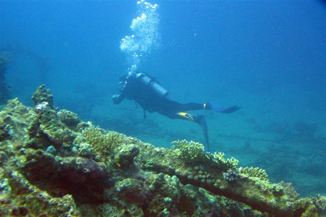 Safari Wrakowe M. Czerwone (wrzesień)