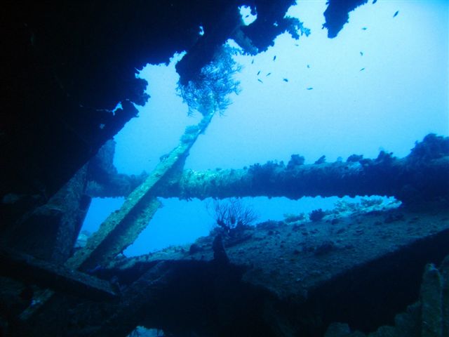 Safari Wrakowe M. Czerwone (wrzesień)