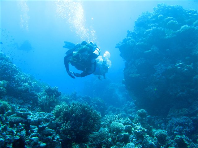 Safari Wrakowe M. Czerwone (wrzesień)