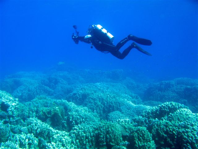 Safari Wrakowe M. Czerwone (wrzesień)