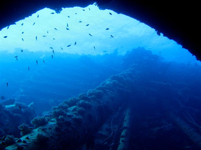 Safari Wrakowe M. Czerwone (wrzesień)