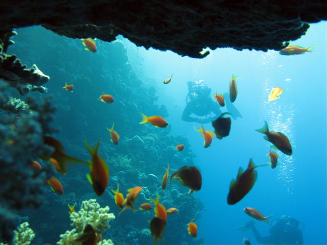 Safari Wrakowe M. Czerwone (wrzesień)