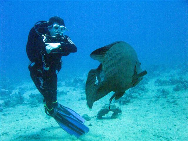 Safari Wrakowe M. Czerwone (wrzesień)