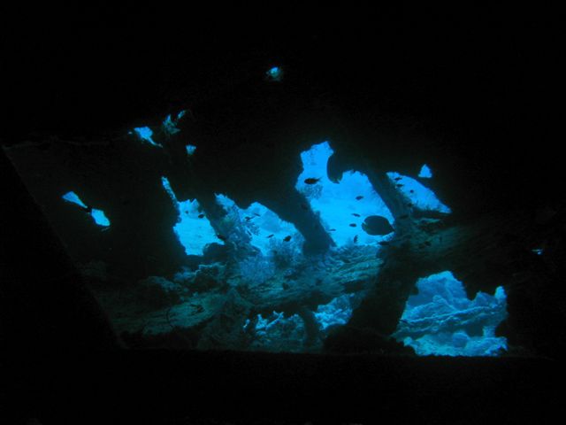 Safari Wrakowe M. Czerwone (wrzesień)