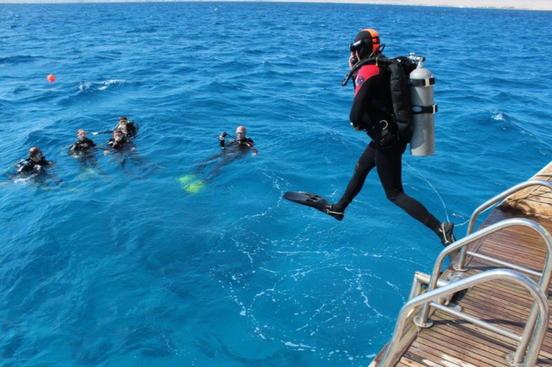 Gratulacje dla wszystkich kursantów