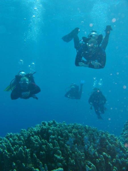 Moby Dick w Marsa Alam